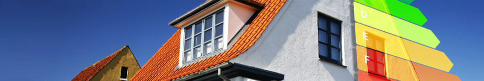 Banner - Matthias Loos