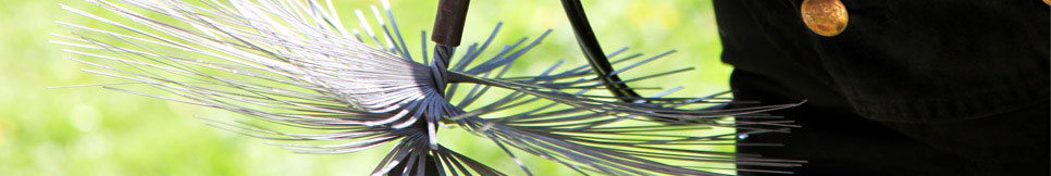 Banner - Matthias Loos